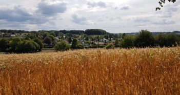 Verslag Wandeldag 2019